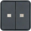 Berker 30863555 rocker switch 2f. f. W.1 button BA, 2 lenses, grey