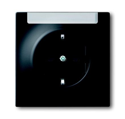 Busch-Jaeger 20 EUN-775 SCHUKO® socket insert, with labelling field, matt black