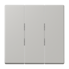 Jung LC993BF205 rocker switch 3-way, thermoplastic lacquered, LS series, gris clair 31 ( LC32013 )