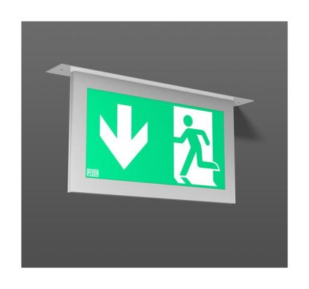 RZB 671940.004.89 Tenuo 5W 420x55x262 m. AC Control LED emergency light