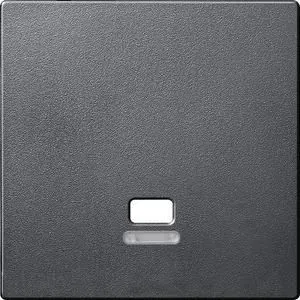 MERTEN MEG3380-0414 central plate anthracite System M