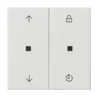 Gira 549203 rocker switch radio bus rws glz Kst Thermopl