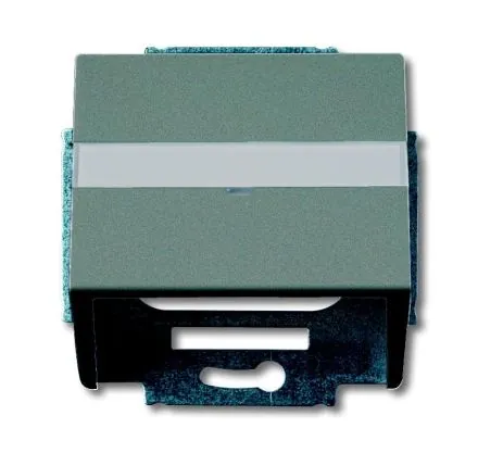 Busch-Jaeger 1758-803 central plate, with support ring grey metallic