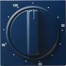 Gira 064246 Cover timer 120 min S-Color Blue