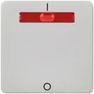 ELSO 233211 rocker switch 2-pole illuminated grey