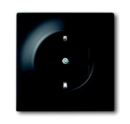Busch-Jaeger 20 EUC-775 SCHUKO® socket insert black matt