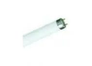 Philips 55877040 fluorescent lamp Master TL-D Super 80 1m 36W 840 1SL/25