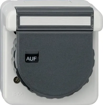 Gira 444031 KD bayonet+BSF WG AP gr socket SCHUKO