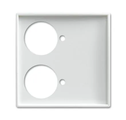 Busch-Jaeger 1790-592-914 Central plate alpine white