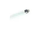 Philips 71685927 fluorescent lamp Master TL Mini 13W 840 1FM/10X25CC Philips 71685927 fluorescent lamp Master TL Mini 13W 840 1FM/10X25CC