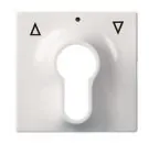 ELSO 363034 Central plate for key switch JOY pure white