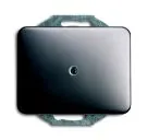 Busch-Jaeger 1742-20 blind central plate, with support ring platinum Busch-Jaeger 1742-20 blind central plate, with support ring platinum