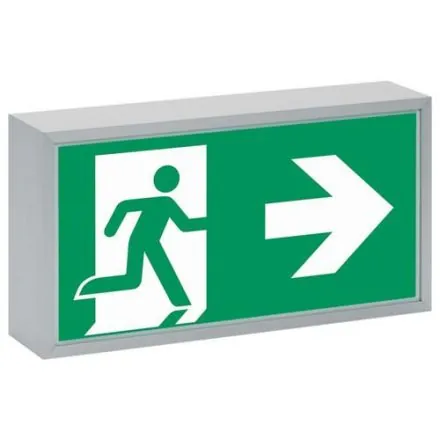 CEAG emergency light 40071351280 71011 CG-S LED emergency light