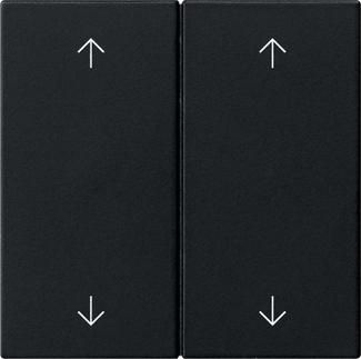 Gira 5387005 2f arrows Sys 55 sw with rocker