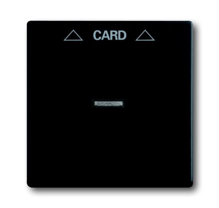 Busch-Jaeger 1792-885 central plate black matt