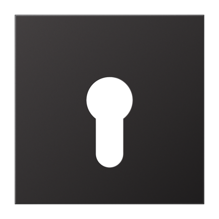 Jung AL2925D cover for key switch without dismantling protection, painted aluminium, LS series, dark (painted aluminium)