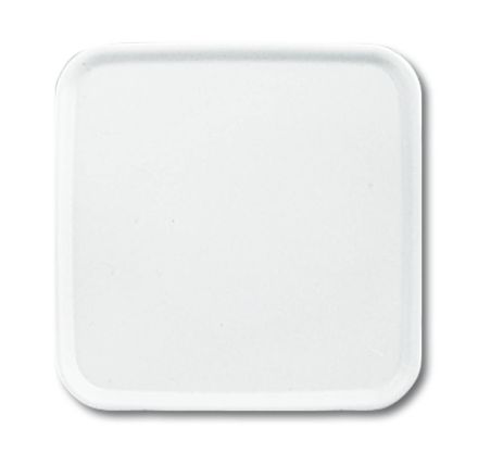 Busch-Jaeger 2548-214-50 A blind central plate alpine white
