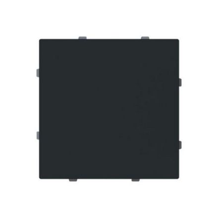 Busch-Jaeger 2CKA001710A4214 1742-45M with support ring blind central plate