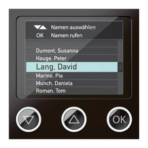 Ritto RGE1879150 Portier display module, grey-brown