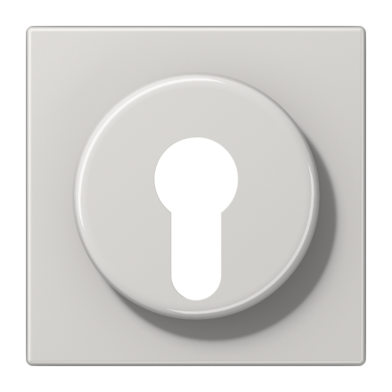 Jung LS928LG cover for key switch with dismantling protection, thermoplastic, LS series, light grey