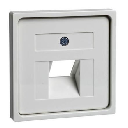 ELSO 366404 Central plate for 1xRJ45 without JOY pure white