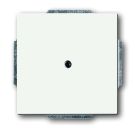 Busch-Jaeger 1742-884 blind central plate, with support ring studio white matt