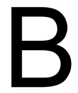 PROTEC.class 05104309 Inspection labels and warning signs capital letter PZBB B black H120mm