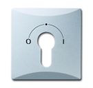 Busch-Jaeger 2155 SLPZ-33 central plate, with print aluminum silver