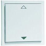 Hochköpper 00384813 D 20.450.21 FU-BLS JR 2-channel pure white wall transmitter
