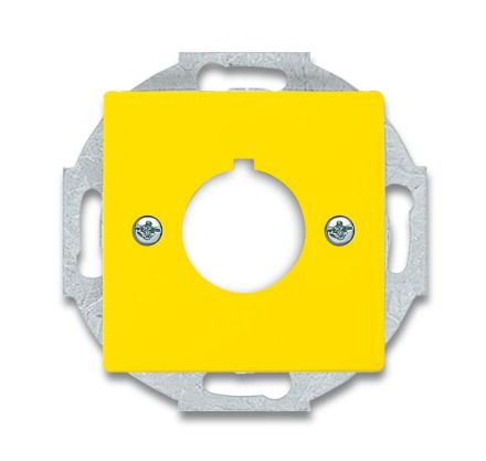 Busch-Jaeger 2533-82-15 central plate, with yellow support ring