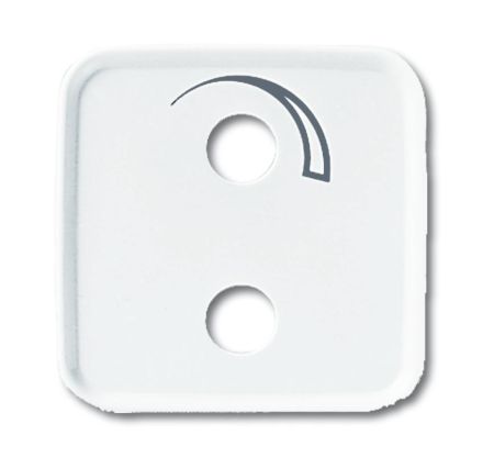 Busch-Jaeger 2548-214-53 B central plate alpine white