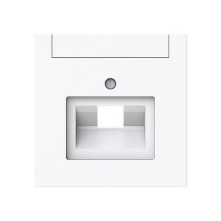 Busch-Jaeger 2CKA001710A4219 1803-44G 1-f.UAE with labeling field central plate