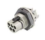 Wieland 96.052.5054.3 RST25I5S S1 M01V BG03 plug part