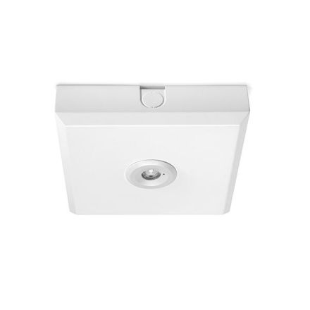 EsyLux EN10080036 LED emergency light ELH O SC SM 3h installation