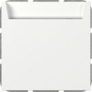 Gira 314027 bel.BSF Sys.55 rws m Hotel Card Changer