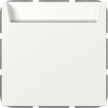 Gira 314027 bel.BSF Sys.55 rws m Hotel Card Changer