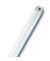 LEDVANCE Osram L 36W/954 fluorescent lamp 36W Daylight