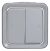 Legrand 069715 rocker switch Plexo IP55 69715 double change FR AP, (grey)