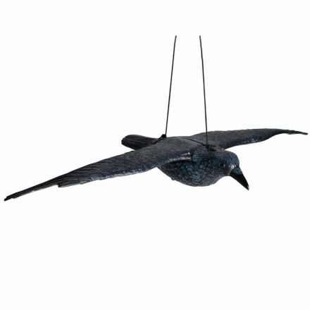 Siena Garden 672958 Raven flying