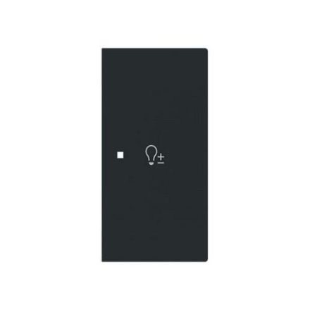 Busch-Jaeger 2CKA006220A0963 6234-22-45M 2-f.right with symbol dimmer rocker