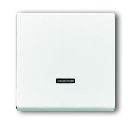 Busch-Jaeger 6543-84-101 Control element, with glow lamp studio white