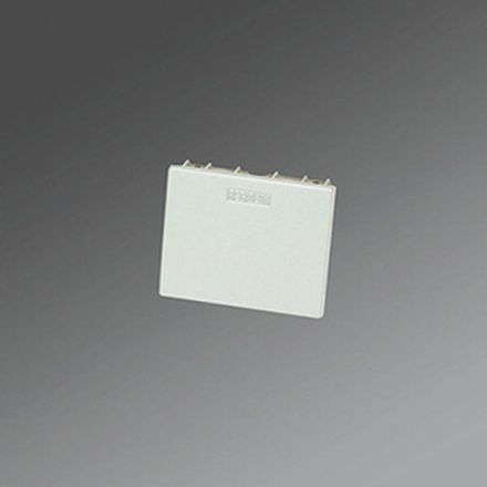Regiolux 60581025100 HLDSG-1 front side HL.G VW pair for Hokal end piece