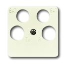 Busch-Jaeger 1743/10-04-212 central plate, 50 x 50 mm white