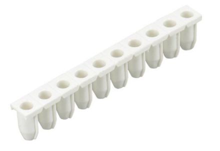 Wieland 05.564.3755.0 LELN 2,5/1 WHITE conductor entry strip