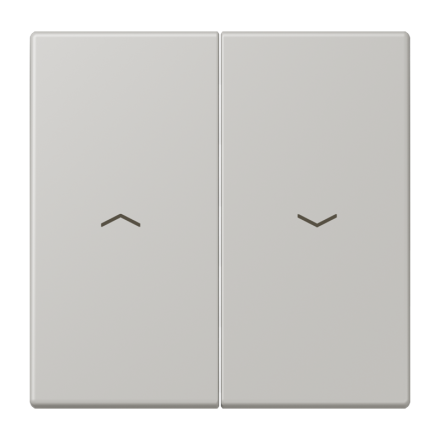 Jung LC995P205 rocker switch 2-way, with arrow symbols, LS series, gris clair 31 ( LC320 )