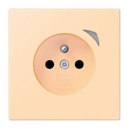 Jung BTLC1521FSE223 HOME Energy french socket