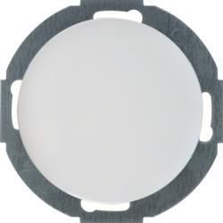 Berker 10092079 Blind cover with central piece polar white, glossy Series R.classic