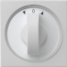 Gira 0666015 toggle timer+Jal.Sys55 gr cover