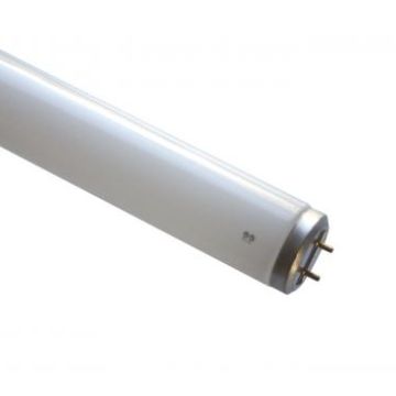 Scharnberger & Hasenbein 68050 T12 38x740mm G13 33W 840 fluorescent lamp