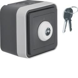 Berker 32723515 blind key switch with imprint AP grey/light grey matt Berker W.1